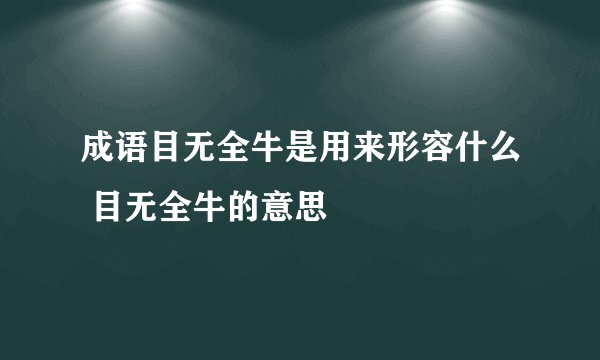 成语目无全牛是用来形容什么 目无全牛的意思