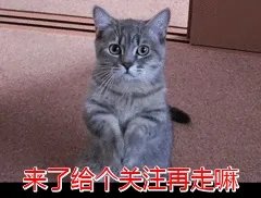 狗狗泪痕怎么解决？