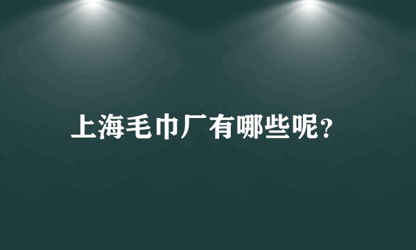 上海毛巾厂有哪些呢？