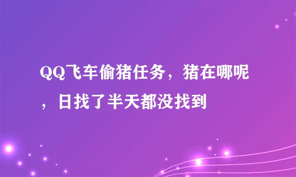 QQ飞车偷猪任务，猪在哪呢，日找了半天都没找到