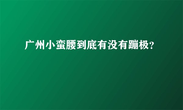 广州小蛮腰到底有没有蹦极？