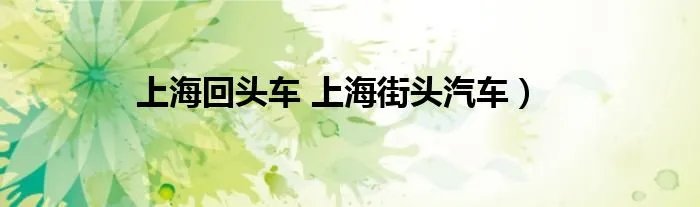 上海回头车 上海街头汽车）