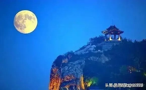 桑德斯退选意味着什么?