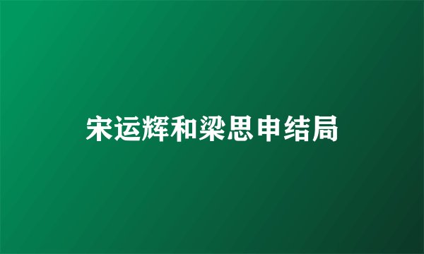 宋运辉和梁思申结局