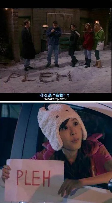 爱情公寓真的抄袭了吗？