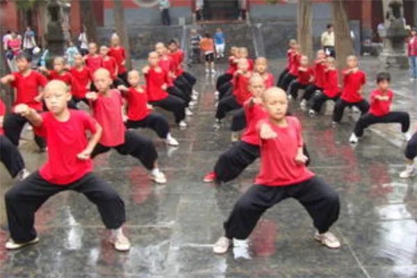 河南十大武校排行榜：中华武术学校上榜，第六已有53年历史