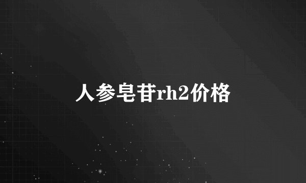 人参皂苷rh2价格