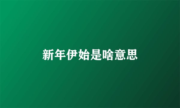 新年伊始是啥意思