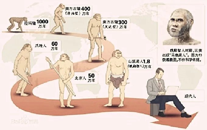 “物竞天择.适者生存”是什么意思