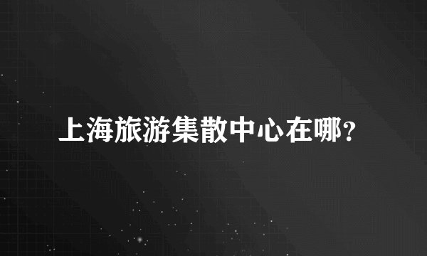 上海旅游集散中心在哪?
