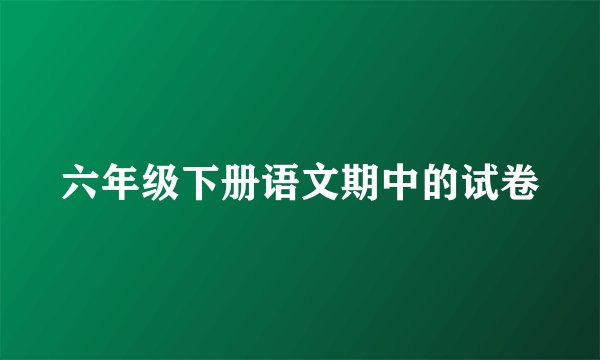 六年级下册语文期中的试卷