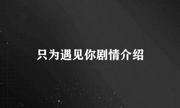 只为遇见你剧情介绍
