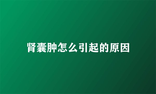 肾囊肿怎么引起的原因