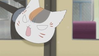 你家的猫做过哪些不可思议的事呢？