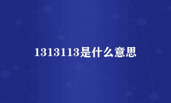 1313113是什么意思