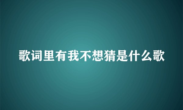歌词里有我不想猜是什么歌