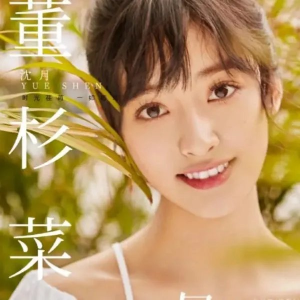 新流星花园演员表