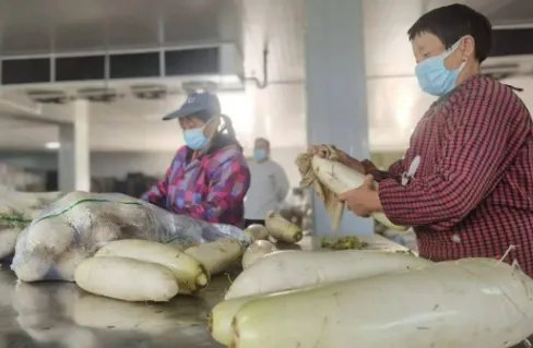 外地司机支援上海物资无人对接，这造成了多大的损失？