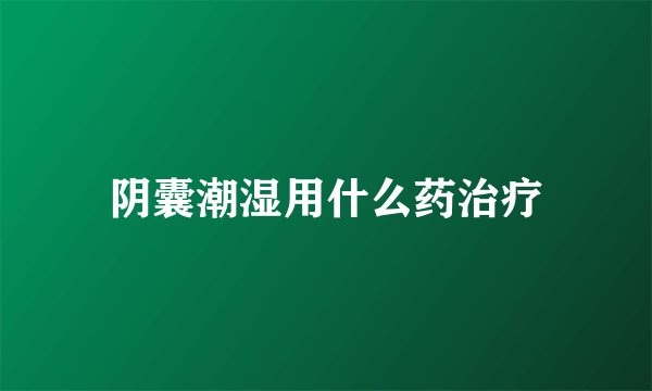 阴囊潮湿用什么药治疗