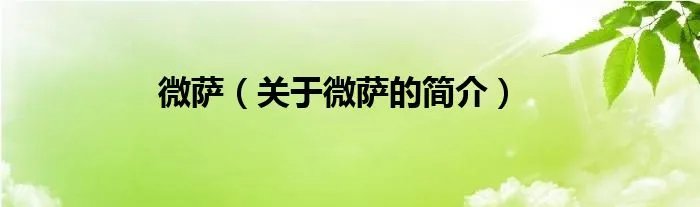 微萨（关于微萨的简介）