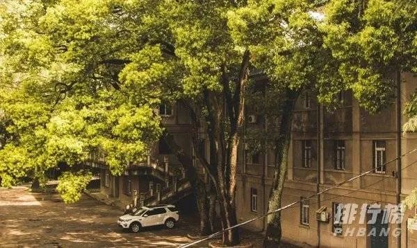 中国最美的十所大学排名_全国最美大学排名最新