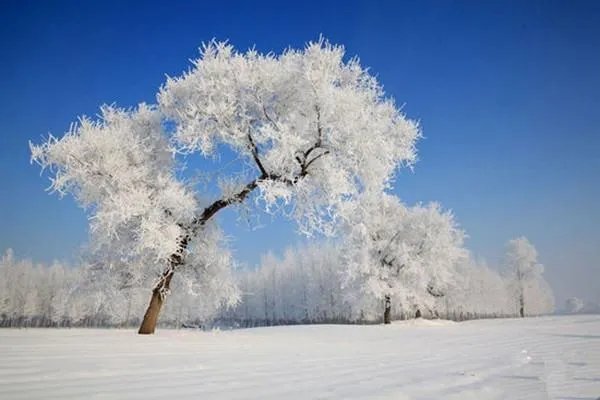 黑龙江漠河5月飞雪，你知道是受了什么影响吗？