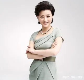 杨澜的老公是谁