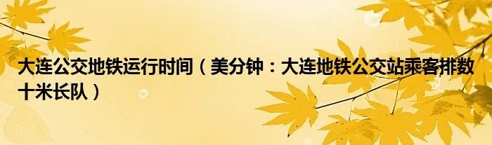 大连公交地铁运行时间（美分钟：大连地铁公交站乘客排数十米长队）