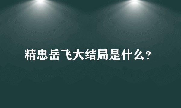 精忠岳飞大结局是什么？