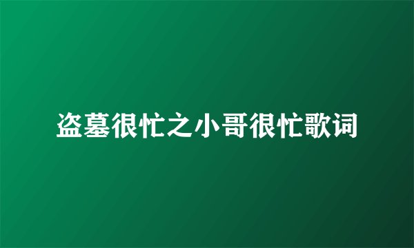 盗墓很忙之小哥很忙歌词