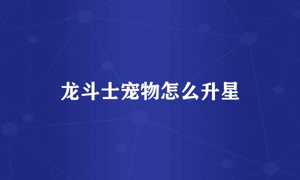龙斗士宠物怎么升星