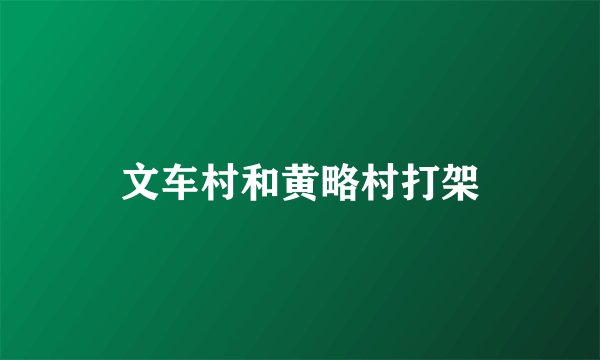 文车村和黄略村打架