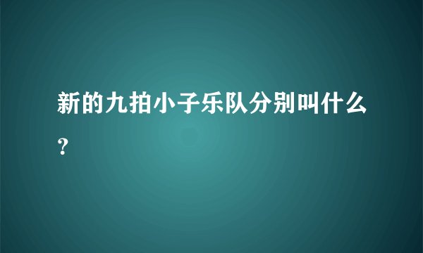 新的九拍小子乐队分别叫什么？