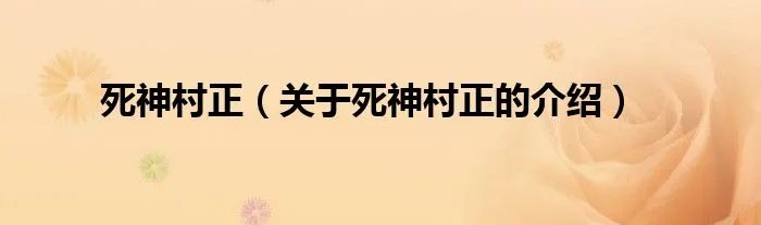死神村正（关于死神村正的介绍）