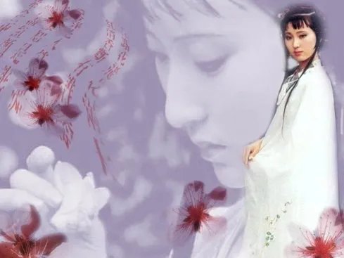 《枉凝眉》这首歌的歌词大意是什么?