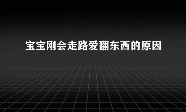 宝宝刚会走路爱翻东西的原因