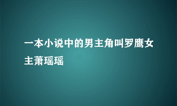 一本小说中的男主角叫罗鹰女主萧瑶瑶