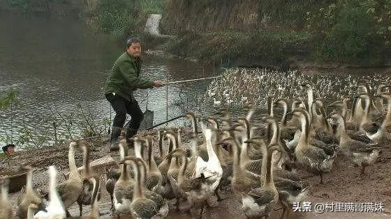 你认为中央电视台的《致富经》能让人致富吗?