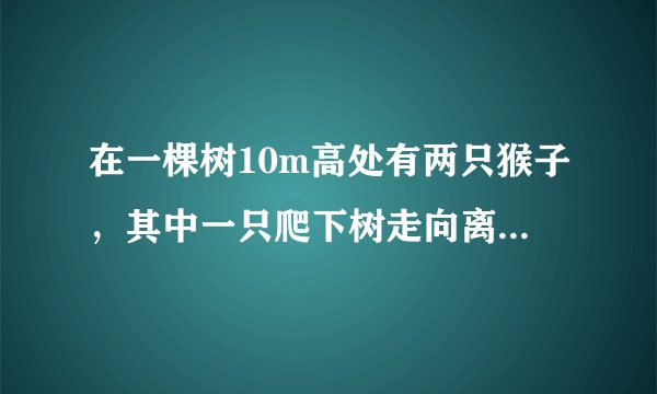 在一棵树10m高处有两只猴子，其中一只爬下树走向离树20m的的池塘，如另一只爬到树顶后直扑池塘(设定它在空中的轨迹是直的),如果两只猴子经过的距离相等，那么这棵树有多高？