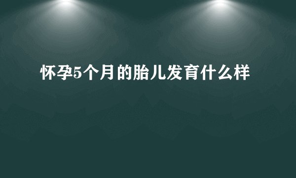 怀孕5个月的胎儿发育什么样