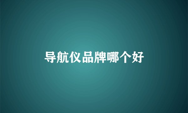 导航仪品牌哪个好