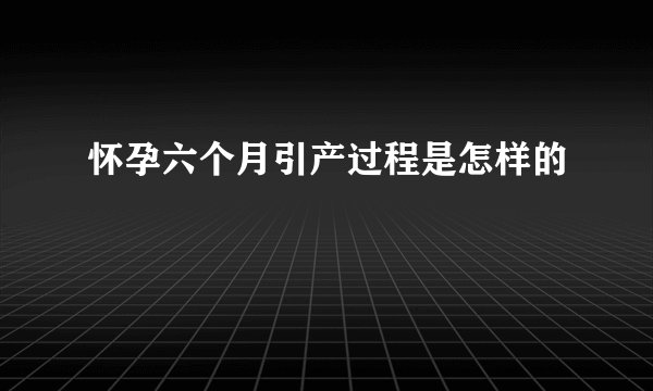 怀孕六个月引产过程是怎样的