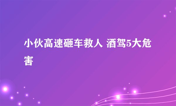 小伙高速砸车救人 酒驾5大危害