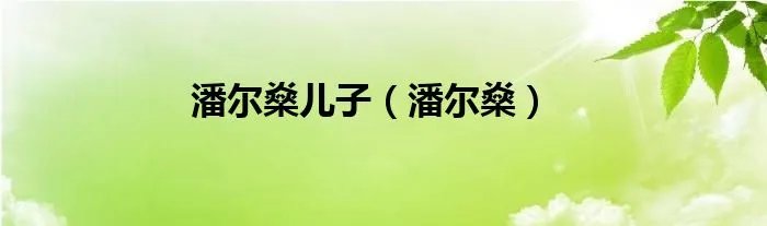 潘尔燊儿子（潘尔燊）