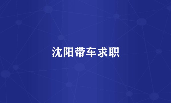 沈阳带车求职