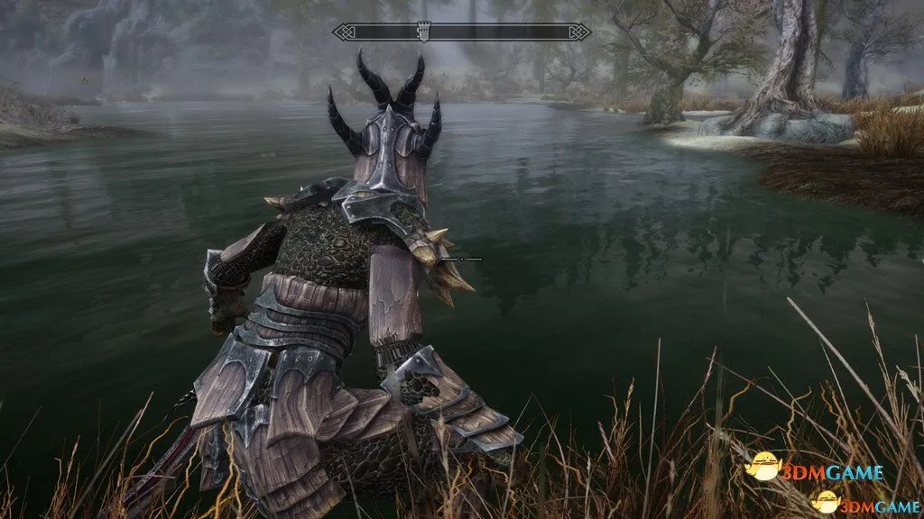 上古卷轴5 画质MOD 真正的高清画质ENB
