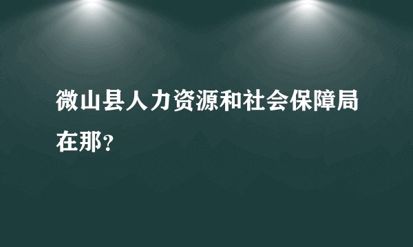 微山县人力资源和社会保障局在那？