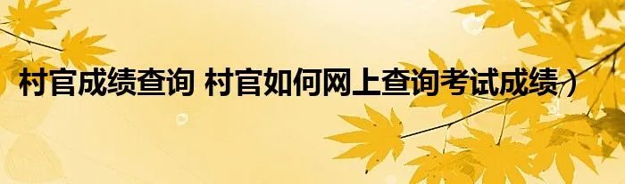 村官成绩查询 村官如何网上查询考试成绩）