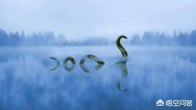 前几天出现的“三峡水怪”是什么,会是未知的生物吗?