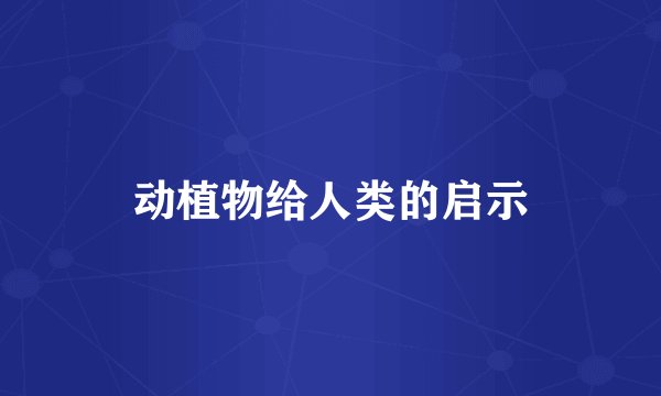 动植物给人类的启示